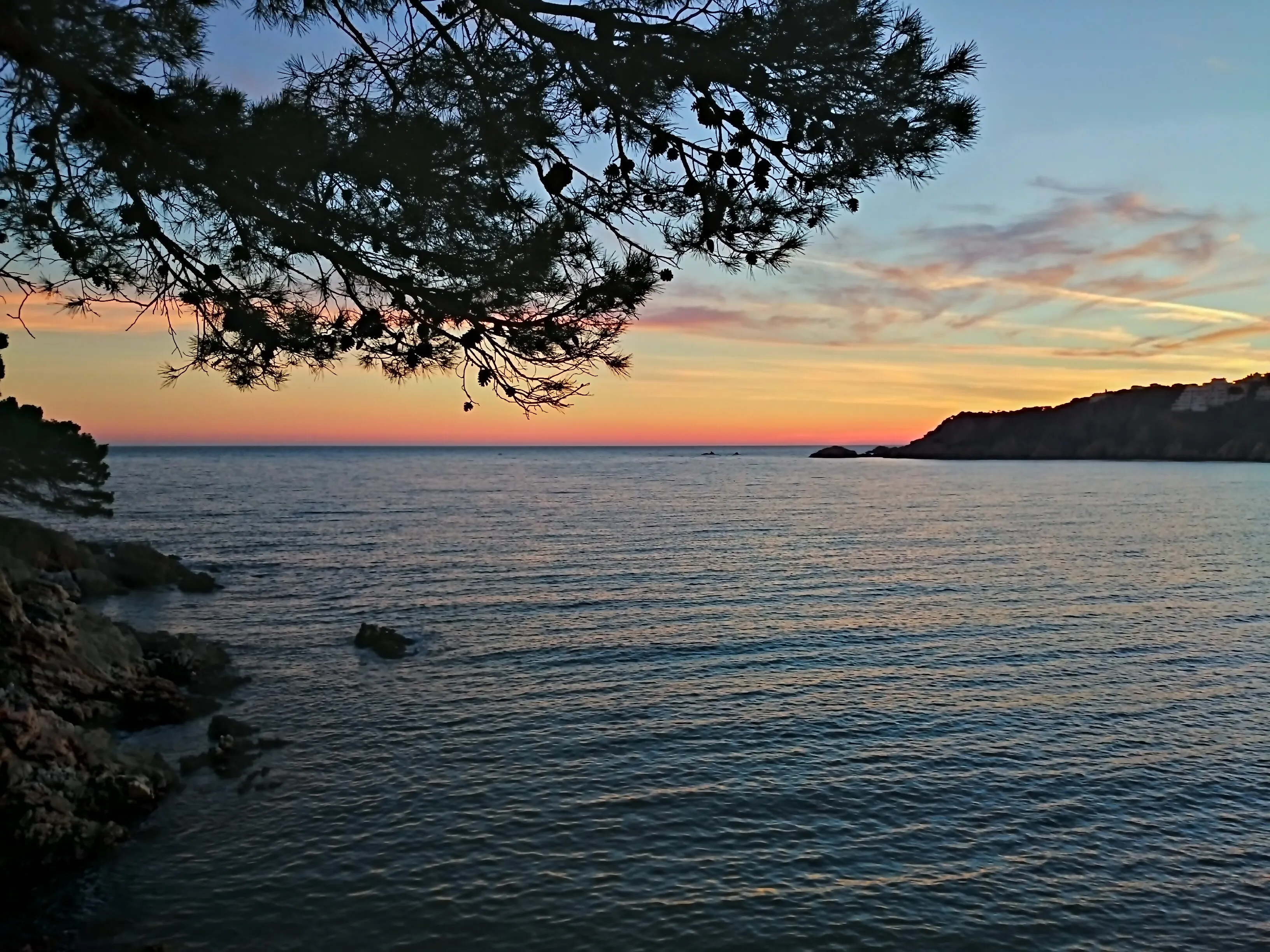 A peaceful sunset over calm ocean waters, framed by tree branches and distant coastal cliffs