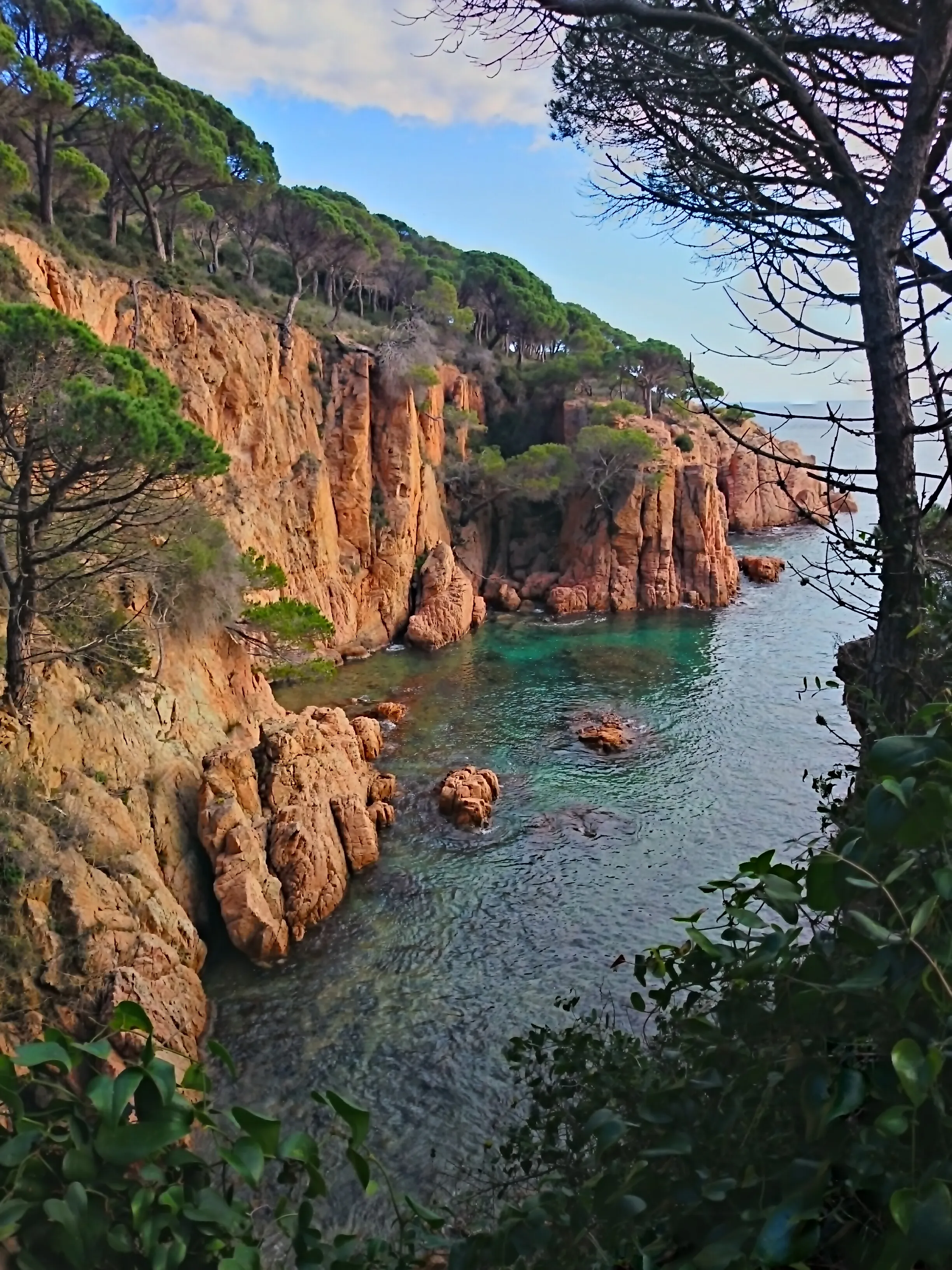 Steep rocky cliffs with pine trees overlooking a clear turquoise bay surrounded by lush greenery.