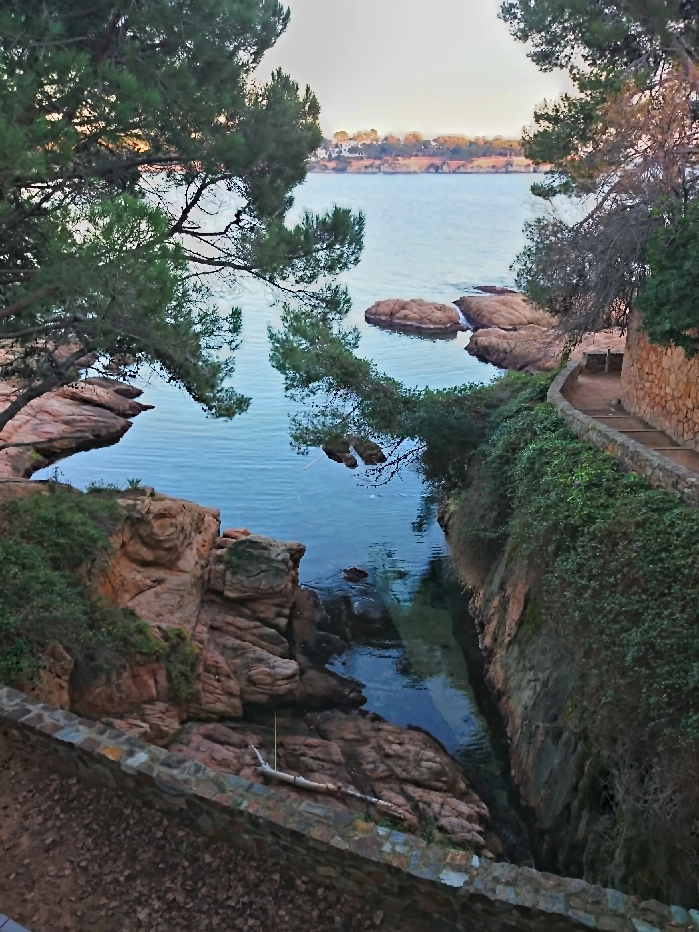 A narrow rocky inlet with calm blue water, framed by pine trees and a stone pathway.