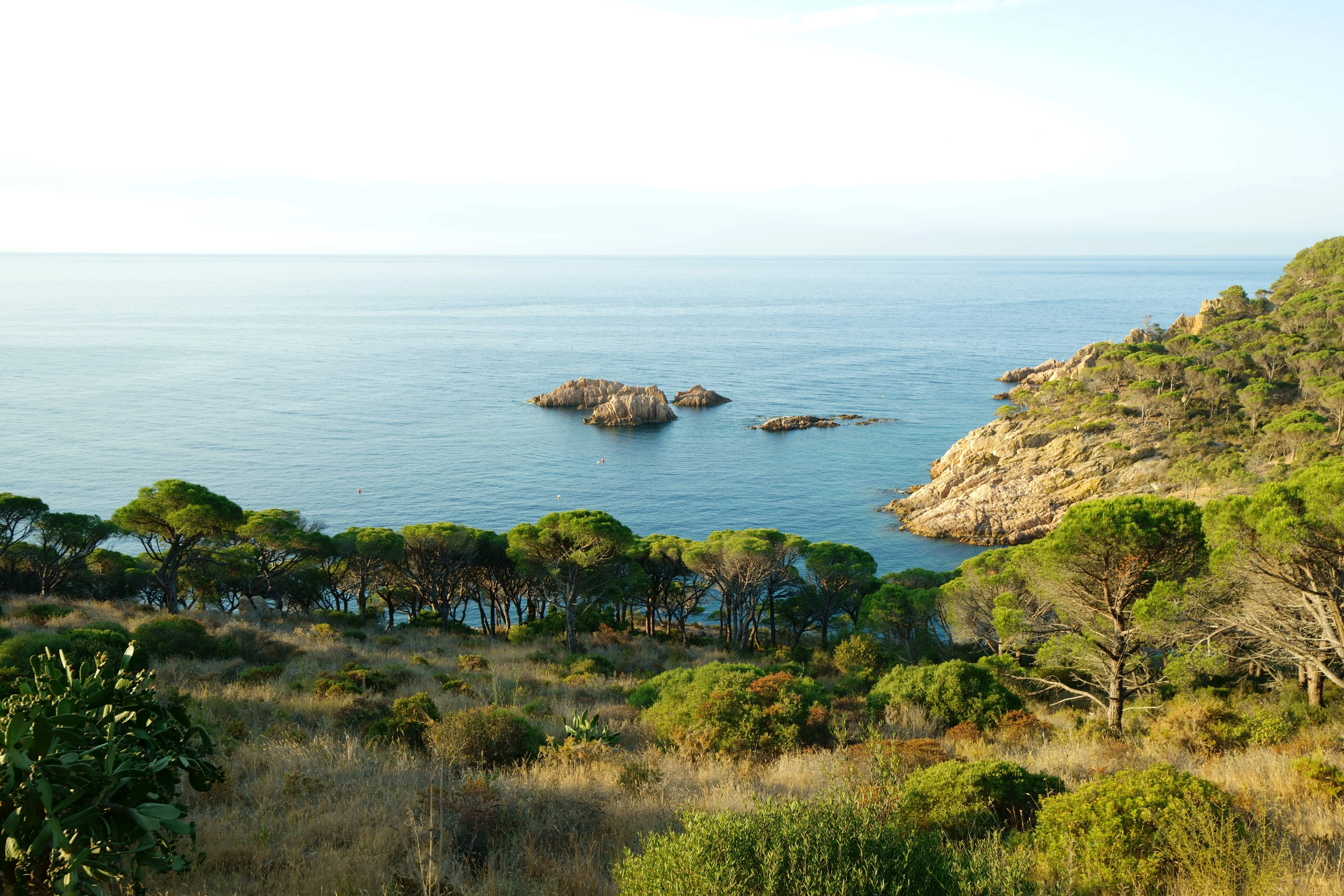 Lush green trees and rocky cliffs overlook a calm blue sea with small rock formations offshore